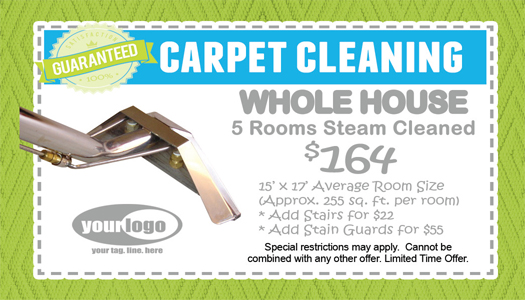 Carpet Cleaning Business Cards #CA01006 UV Gloss Back