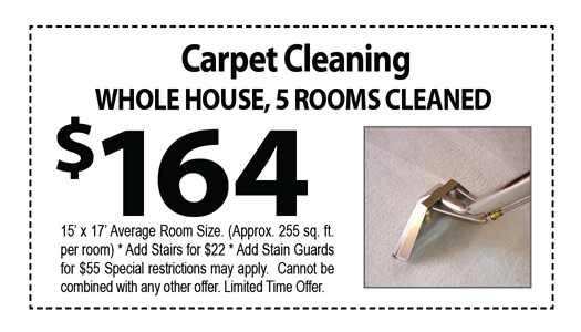 Carpet Cleaning Business Cards #CA01076 UV Gloss Back