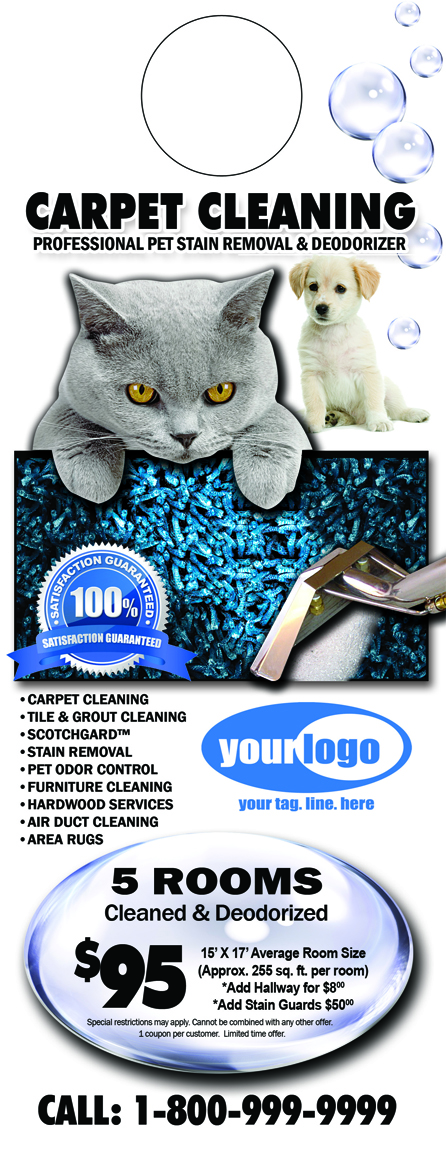 Carpet Cleaning Door Hangers (4.25 x 11) #CA00007 AQ Gloss Front