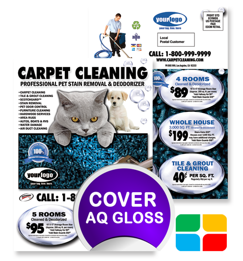 Carpet Cleaning EDDM ca00007 6.5 x 9 Cover