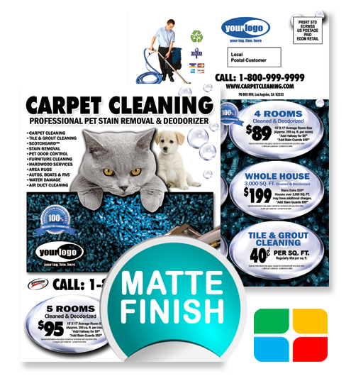 Carpet Cleaning EDDM ca00007 6.5 x 9 Matte