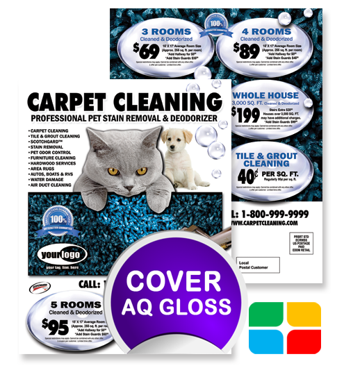 Carpet Cleaning EDDM ca00007 8.5 x 11 Cover