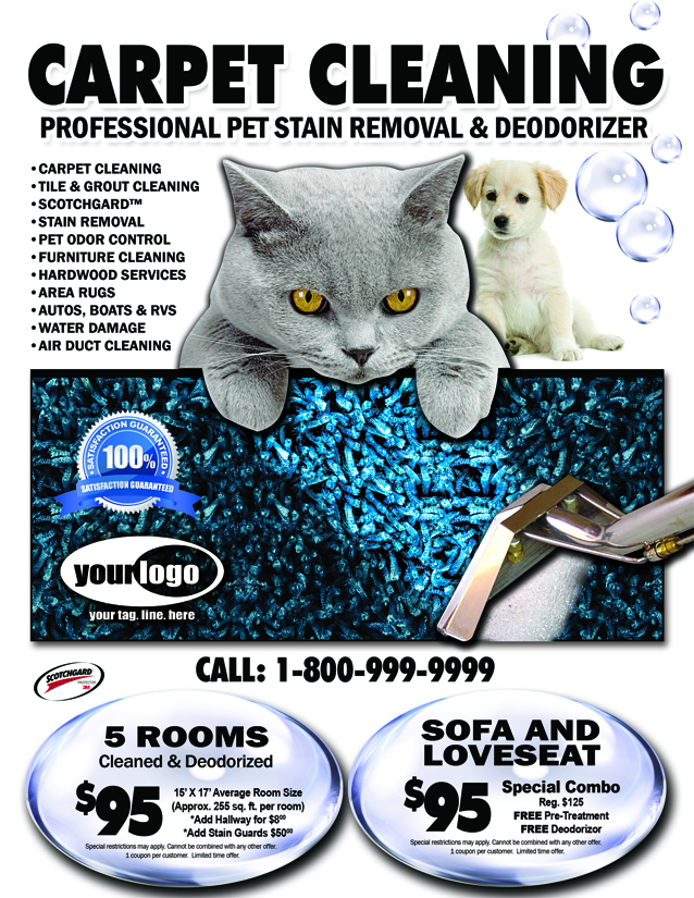 Carpet Cleaning EDDM (8.5 x 11) #CA00007 Matte Front