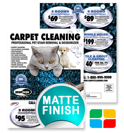 Carpet Cleaning EDDM ca00007 8.5 x 11 Matte