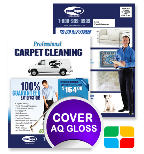 Carpet Cleaning EDDM ca01001 6.5 x 9 Cover