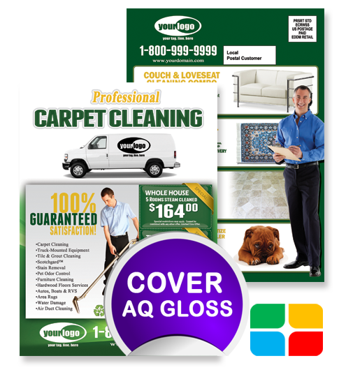 Carpet Cleaning EDDM ca01002 6.5 x 9 Cover