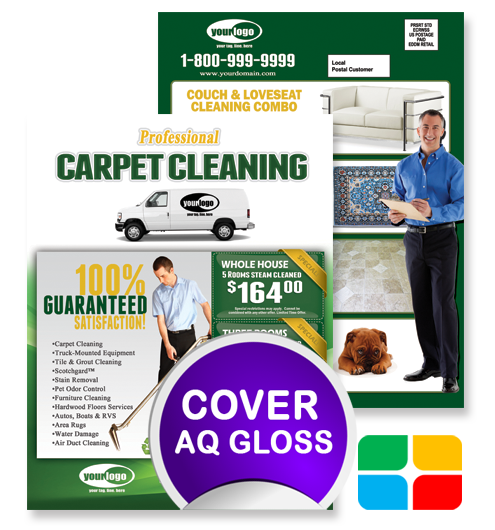 Carpet Cleaning EDDM ca01002 8.5 x 11 Cover