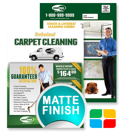 Carpet Cleaning EDDM ca01002 8.5 x 11 Matte