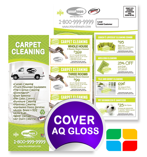 Carpet Cleaning EDDM ca01005 6.5 x 9 Cover