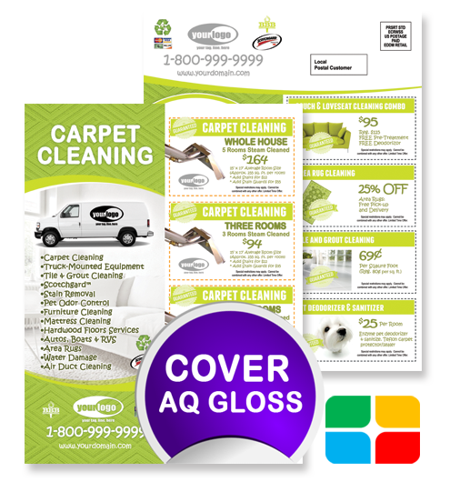 Carpet Cleaning EDDM ca01005 8.5 x 11 Cover