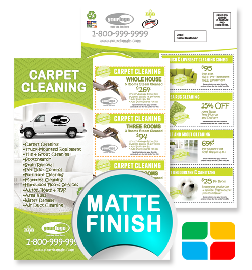 Carpet Cleaning EDDM ca01005 8.5 x 11 Matte