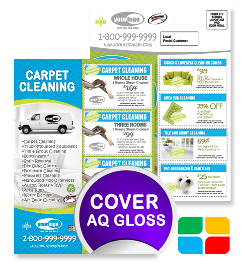 Carpet Cleaning EDDM ca01006 6.5 x 9 Cover