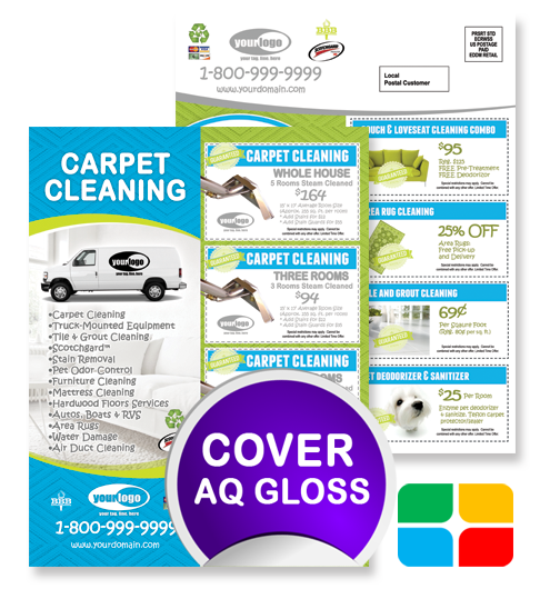 Carpet Cleaning EDDM ca01006 8.5 x 11 Cover