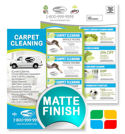 Carpet Cleaning EDDM ca01006 8.5 x 11 Matte