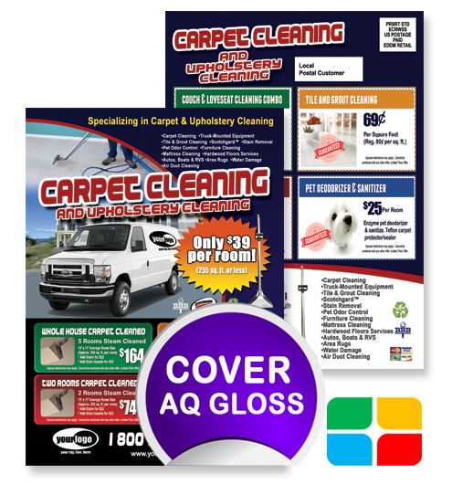 Carpet Cleaning EDDM ca01010 6.5 x 9 Cover