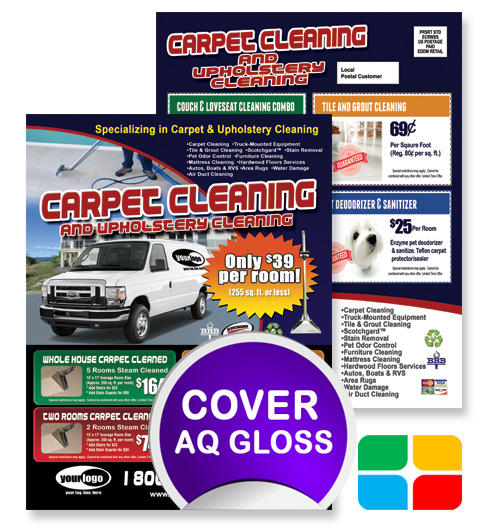 Carpet Cleaning EDDM ca01010 8.5 x 11 Cover