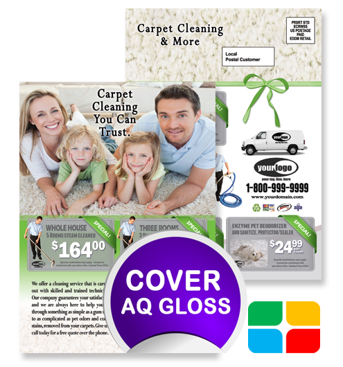 Carpet Cleaning EDDM ca01023 6.5 x 9 Cover