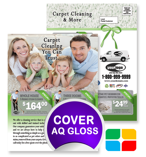 Carpet Cleaning EDDM ca01023 8.5 x 11 Cover