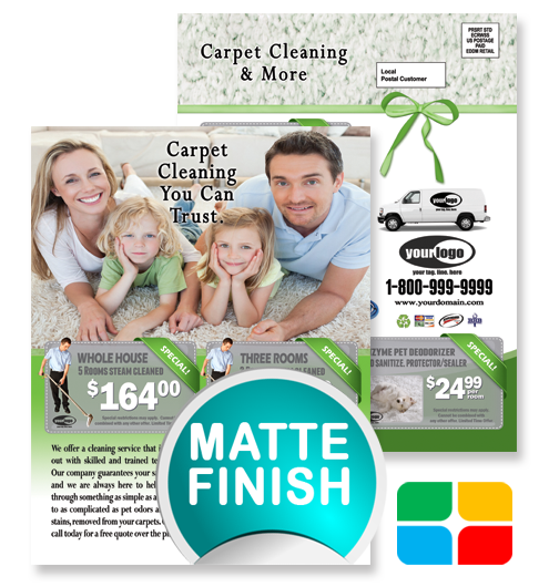 Carpet Cleaning EDDM ca01023 8.5 x 11 Matte