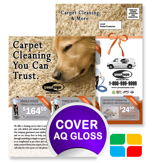 Carpet Cleaning EDDM ca01024 6.5 x 9 Cover