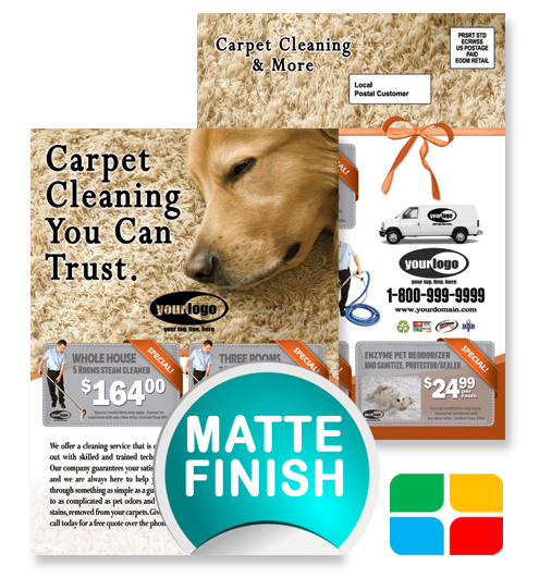 Carpet Cleaning EDDM ca01024 6.5 x 9 Matte