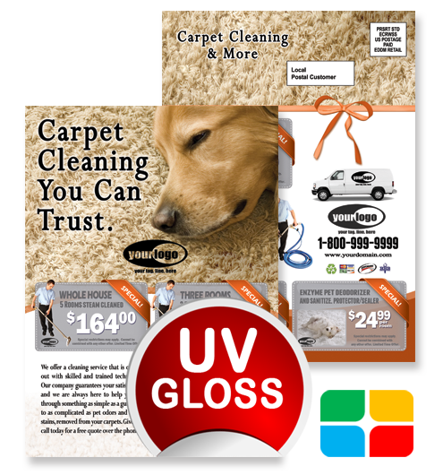 Carpet Cleaning EDDM ca01024 6.5 x 9 UV Gloss