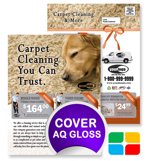 Carpet Cleaning EDDM ca01024 8.5 x 11 Cover