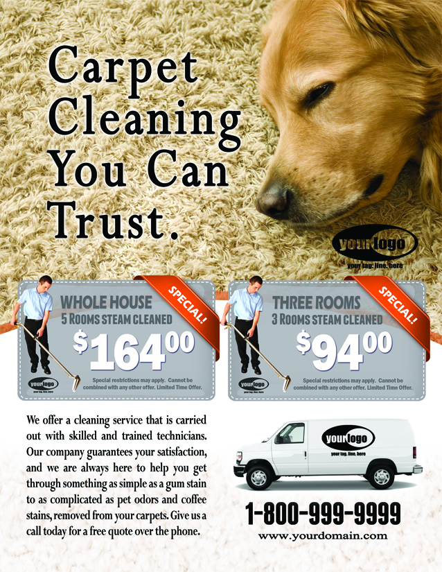 Carpet Cleaning EDDM (8.5 x 11) #CA01024 Matte Front