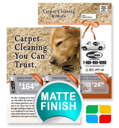 Carpet Cleaning EDDM ca01024 8.5 x 11 Matte