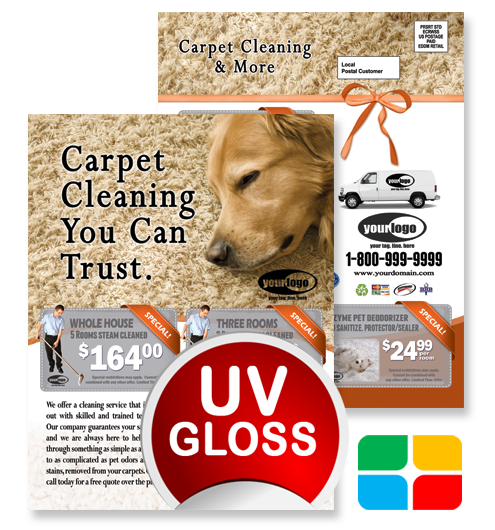 Carpet Cleaning EDDM ca01024 8.5 x 11 UV Gloss