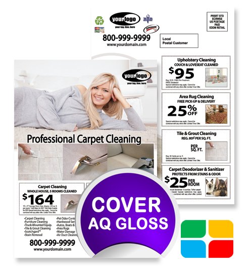 Carpet Cleaning EDDM ca01075 6.5 x 9 Cover