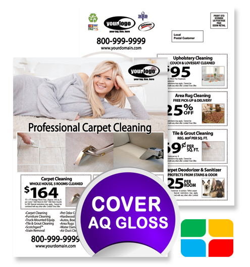 Carpet Cleaning EDDM ca01075 8.5 x 11 Cover