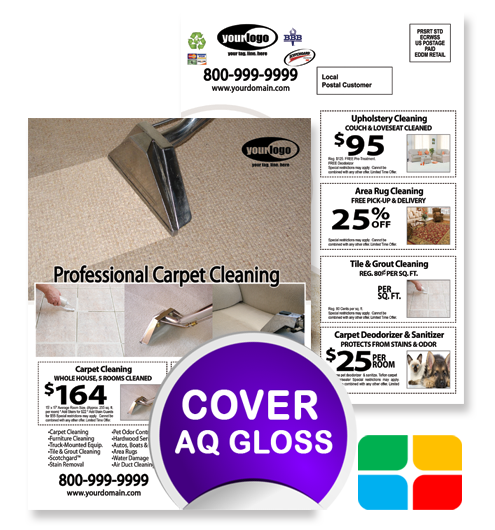 Carpet Cleaning EDDM ca01076 6.5 x 9 Cover