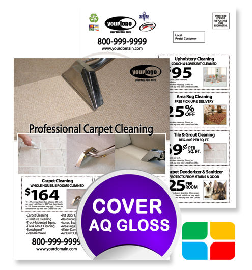 Carpet Cleaning EDDM ca01076 8.5 x 11 Cover