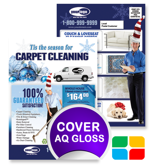 Carpet Cleaning EDDM ca02001 6.5 x 9 Cover