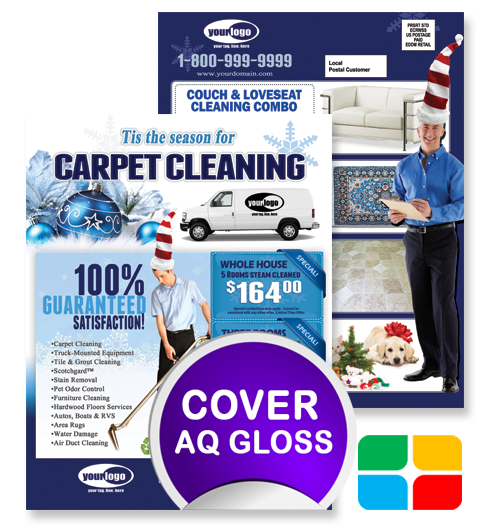 Carpet Cleaning EDDM ca02001 8.5 x 11 Cover