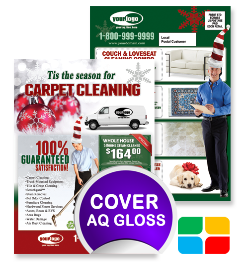 Carpet Cleaning EDDM ca02002 6.5 x 9 Cover