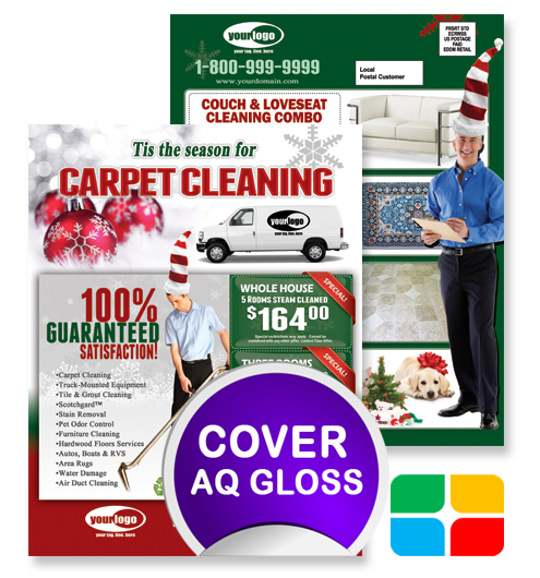 Carpet Cleaning EDDM ca02002 8.5 x 11 Cover