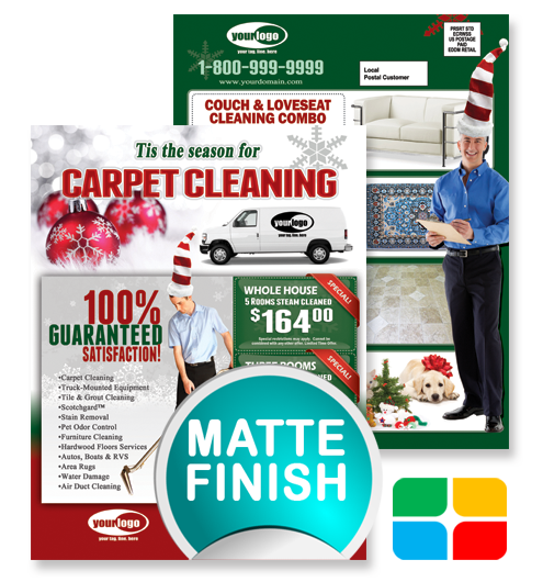 Carpet Cleaning EDDM ca02002 8.5 x 11 Matte