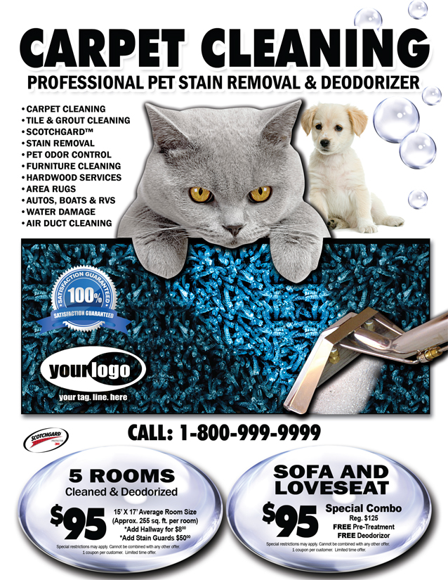 Carpet Cleaning Flyer (8.5 x 11) #CA00007 Front