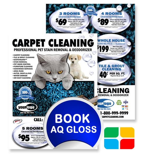 Carpet Cleaning Flyers ca00007 8.5 x 11