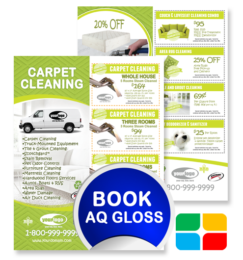 Carpet Cleaning Flyers ca01005 8.5 x 11