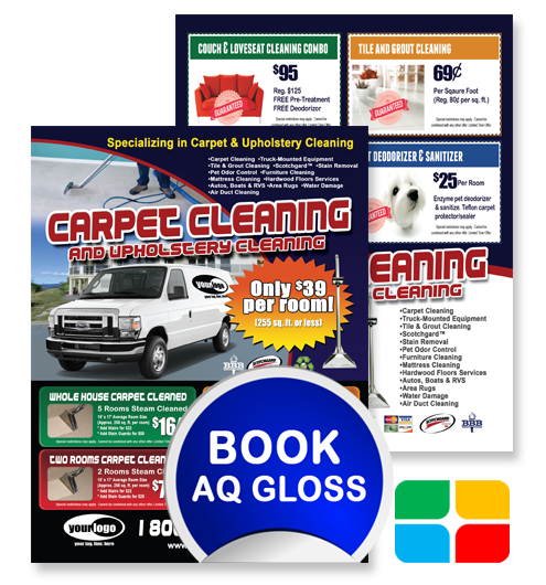 Carpet Cleaning Flyers ca01010 8.5 x 11