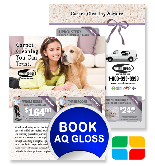 Carpet Cleaning Flyers ca01020 8.5 x 11