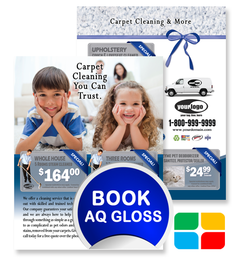 Carpet Cleaning Flyers ca01021 8.5 x 11