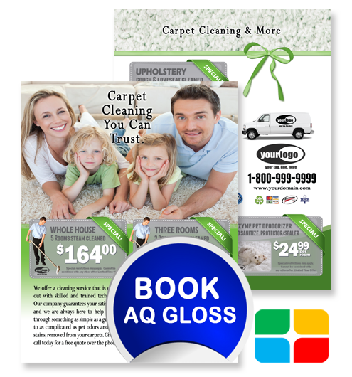 Carpet Cleaning Flyers ca01023 8.5 x 11