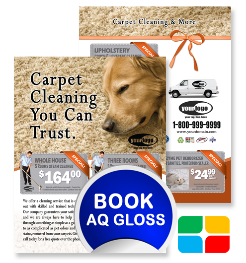 Carpet Cleaning Flyers ca01024 8.5 x 11