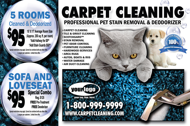 Carpet Cleaning Postcard (4 x 6) #CA00007 Matte Front