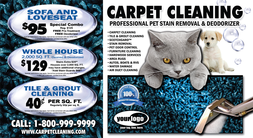 Carpet Cleaning Postcard (6 x 11) #CA00007 Matte Front